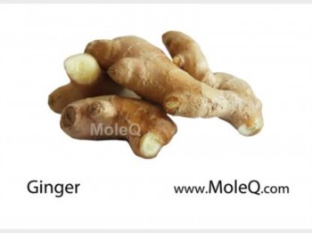 GINGER 1 lb