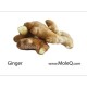 GINGER 1 lb