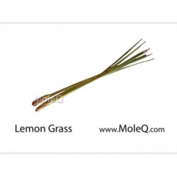 LEMON GRASS / XA CAY 1 lb