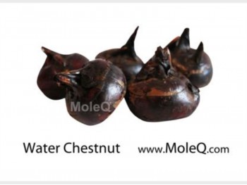 WATER CHESTNUT