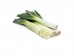 AMERICAN LEEK 1 lb