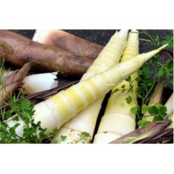 SPRING BAMBOO SHOOT 1 lb