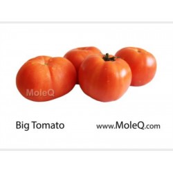 TOMATO 1 lb