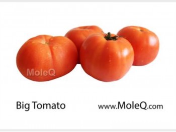 TOMATO 1 lb