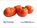 TOMATO 1 lb