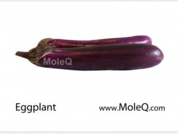 LONG EGGPLANT 1 lb