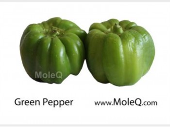 GREEN BELL PEPPER 1 lb