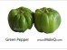 GREEN BELL PEPPER 1 lb