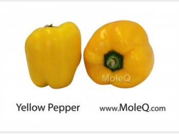 YELLOW PEPPER 1 lb