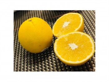 TX     ORANGE  1 lb