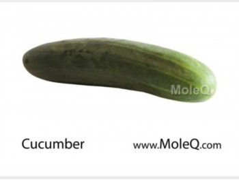 AMERICAN CUCUMBER 1 lb