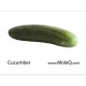 AMERICAN CUCUMBER 1 lb