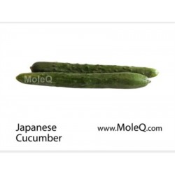 CHINESE CUCUMBER 1 lb