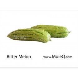 BITTER MELON 1 lb