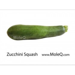 ZUCCHINI SQUASH 1 lb