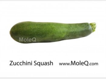 ZUCCHINI SQUASH 1 lb