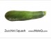 ZUCCHINI SQUASH 1 lb