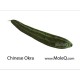 CHINESE SPONGE CUCUMBER 1 lb