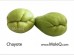 CHAYOTE 1 lb