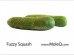 FUZZY SQUASH 1 lb