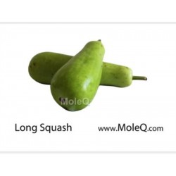 LONG SQUASH 1 lb