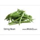 STRING BEAN 1 lb