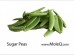 SUGAR SNAP PEA 1 lb