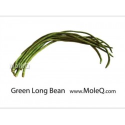 GREEN LONG BEAN 1 lb