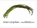 GREEN LONG BEAN 1 lb