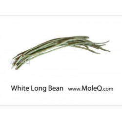 WHITE LONG BEAN 1 lb