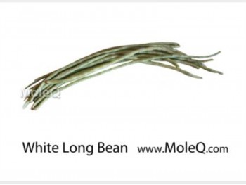 WHITE LONG BEAN 1 lb