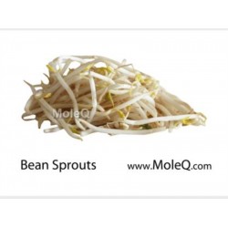 SOY BEAN SPROUT 1 lb