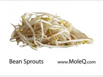 SOY BEAN SPROUT 1 lb