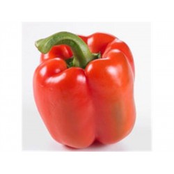 RED BELL PEPPER 1 lb