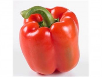 RED BELL PEPPER 1 lb