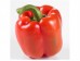 RED BELL PEPPER 1 lb