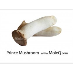 KING OYSTER MUSHROOM 1 lb