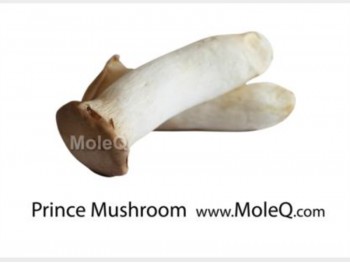 KING OYSTER MUSHROOM 1 lb