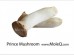 KING OYSTER MUSHROOM 1 lb