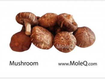 SHIITAKE MUSHROOM 1 lb