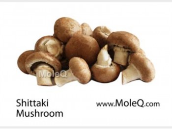 SHITTAKE MUSHROOM 1 lb