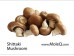 SHITTAKE MUSHROOM 1 lb