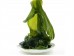 SEAWEED STRIP 1 lb