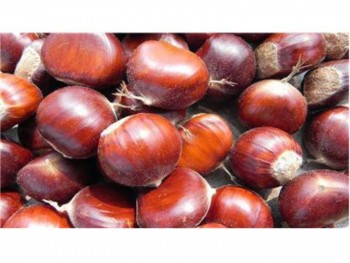 CHESTNUTS 1 lb