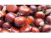 CHESTNUTS 1 lb