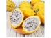 YELLOW DRAGON FRUIT 1 lb