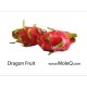 DRAGON FRUIT 1 lb