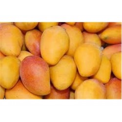 ATAULFO MANGO 1 lb