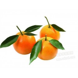 LEAF TANGERINE 1 lb