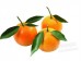 LEAF TANGERINE 1 lb